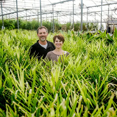 Two people in a greenhouse