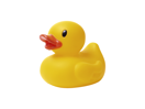 Yellow Rubber Duck