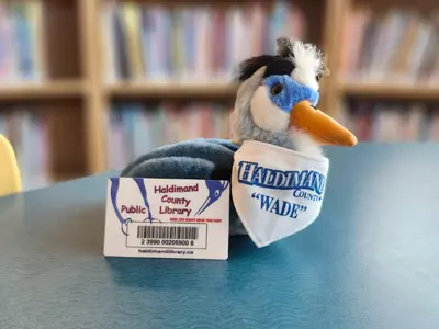 stuffed heron with kerchief that reads "Wade" and children's library card lean against him