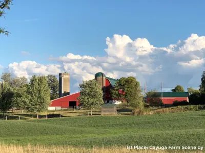 2020 1st Place Photo - Red farm buildings set against green fields and blue sky, taken by Doug Miller